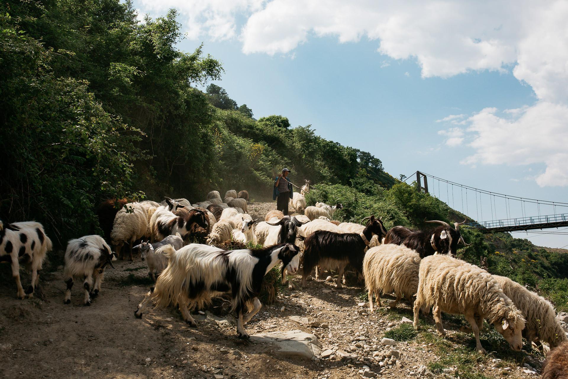 ONE FOR THE RIVER: THE VJOSA STORY